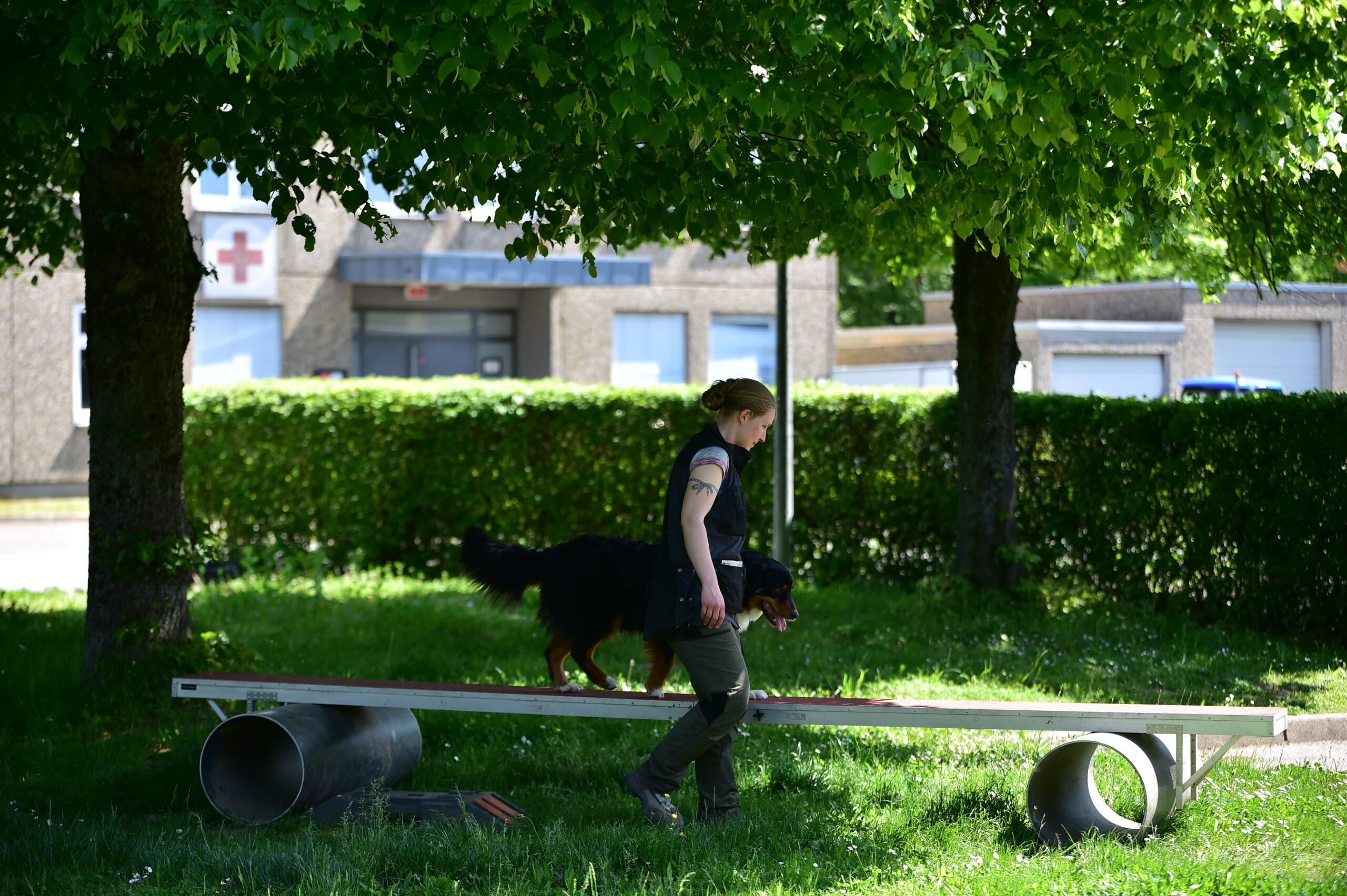 Wiesbaden-lebt