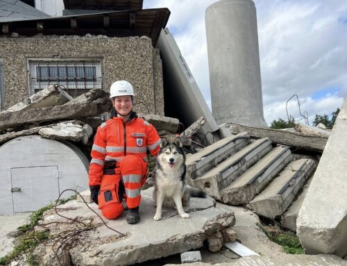 Trümmer Vorprüfung