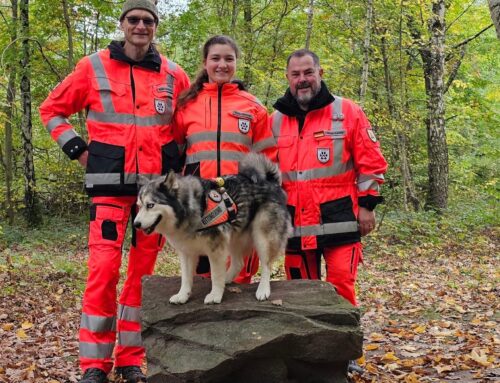 Einsatzüberprüfung Fläche
