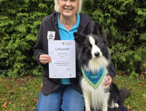 Therapiehundeteam Hauptprüfung (TGI)