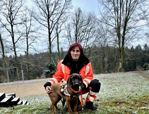 Flächenhauptprüfung